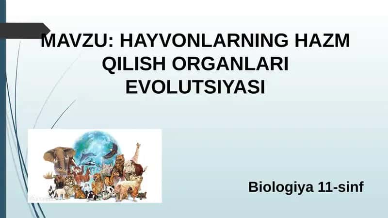 HAYVONLARNING HAZM QILISH ORGANLARI EVOLUTSIYASI