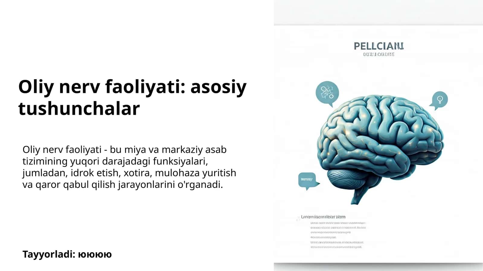 Oliy nerv faoliyati: asosiy tushunchalar