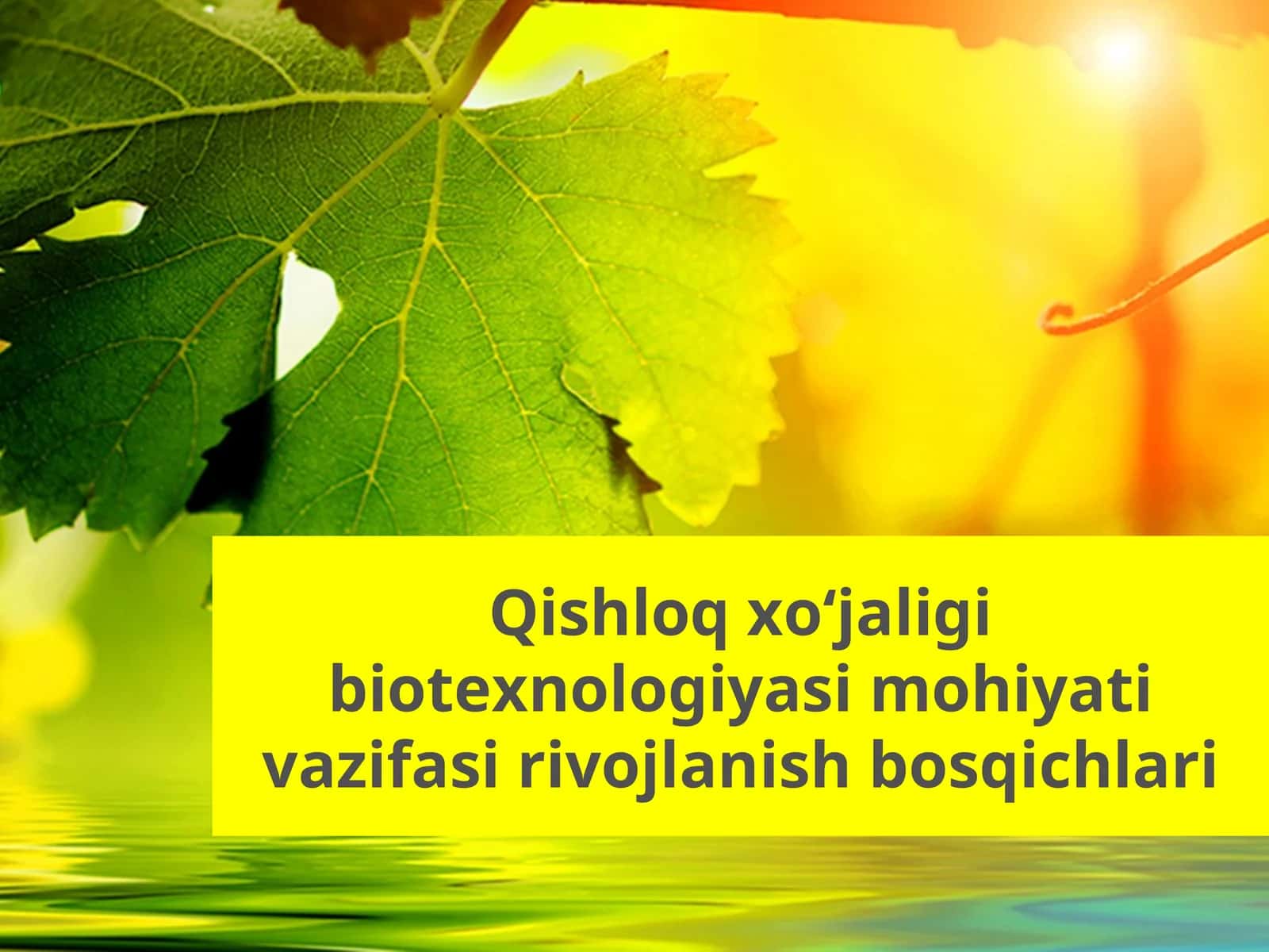 Qishloq xoʻjaligi biotexnologiyasi mohiyati vazifasi rivojlanish bosqichlari