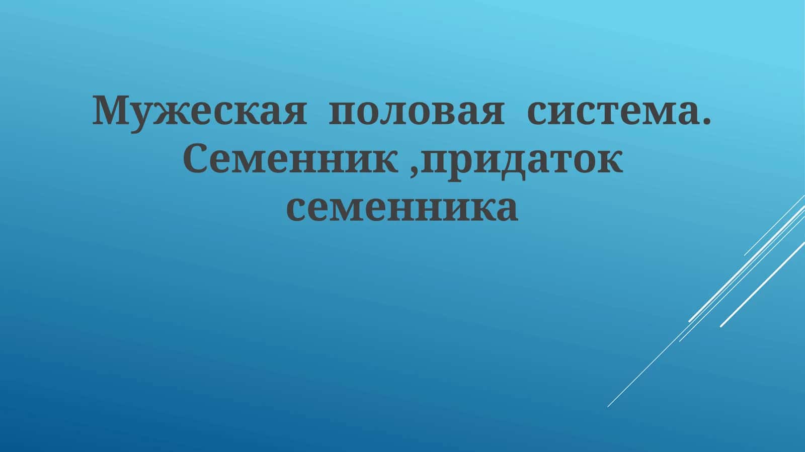 Мужеская половая система. Семенник, придаток семенника