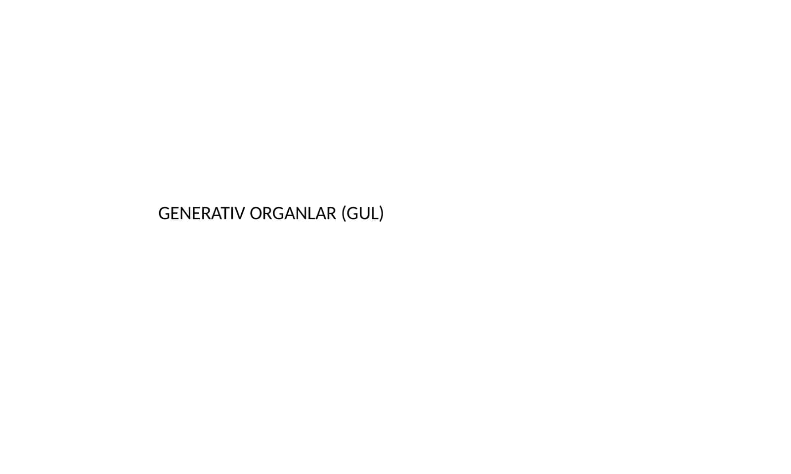 GENERATIV ORGANLAR (GUL)
