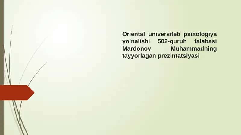 Seminar Mashg'ulotlari Tayyorgarlik Ko'rish