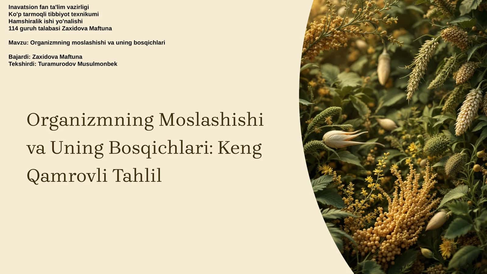Organizmning Moslashishi va Uning Bosqichlari: Keng Qamrovli Tahlil