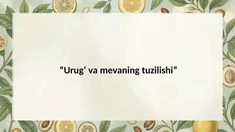 Urugʻva mevaning tuzilishi