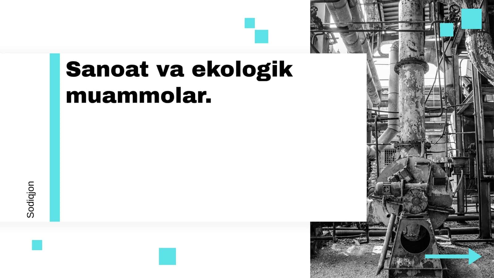 Sanoat va ekologik muammolar