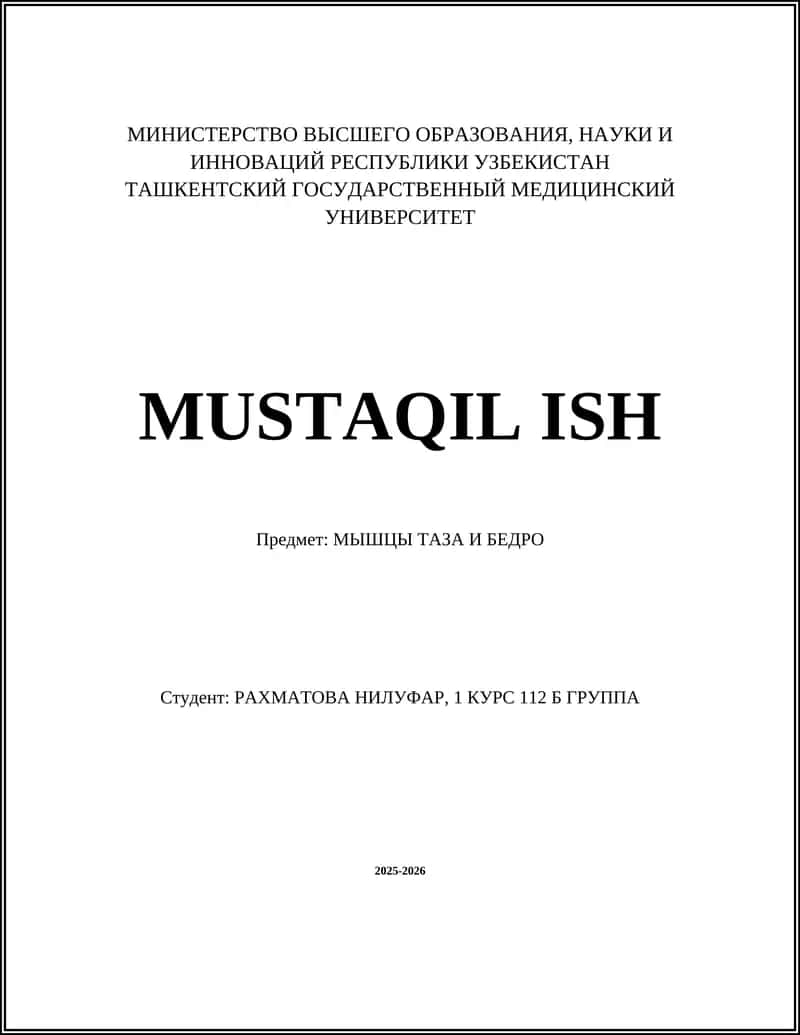 МЫШЦЫ ТАЗА И БЕДРА