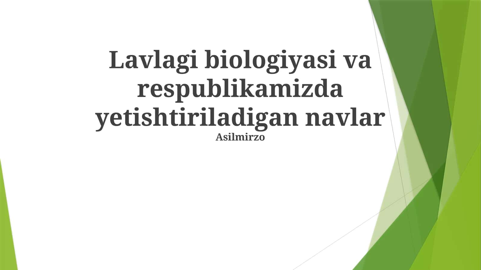 Lavlagi biologiyasi va respublikamizda yetishtiriladigan navlar
