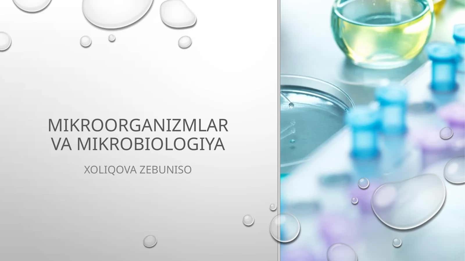 Mikroorganizmlar va mikrobiologiya