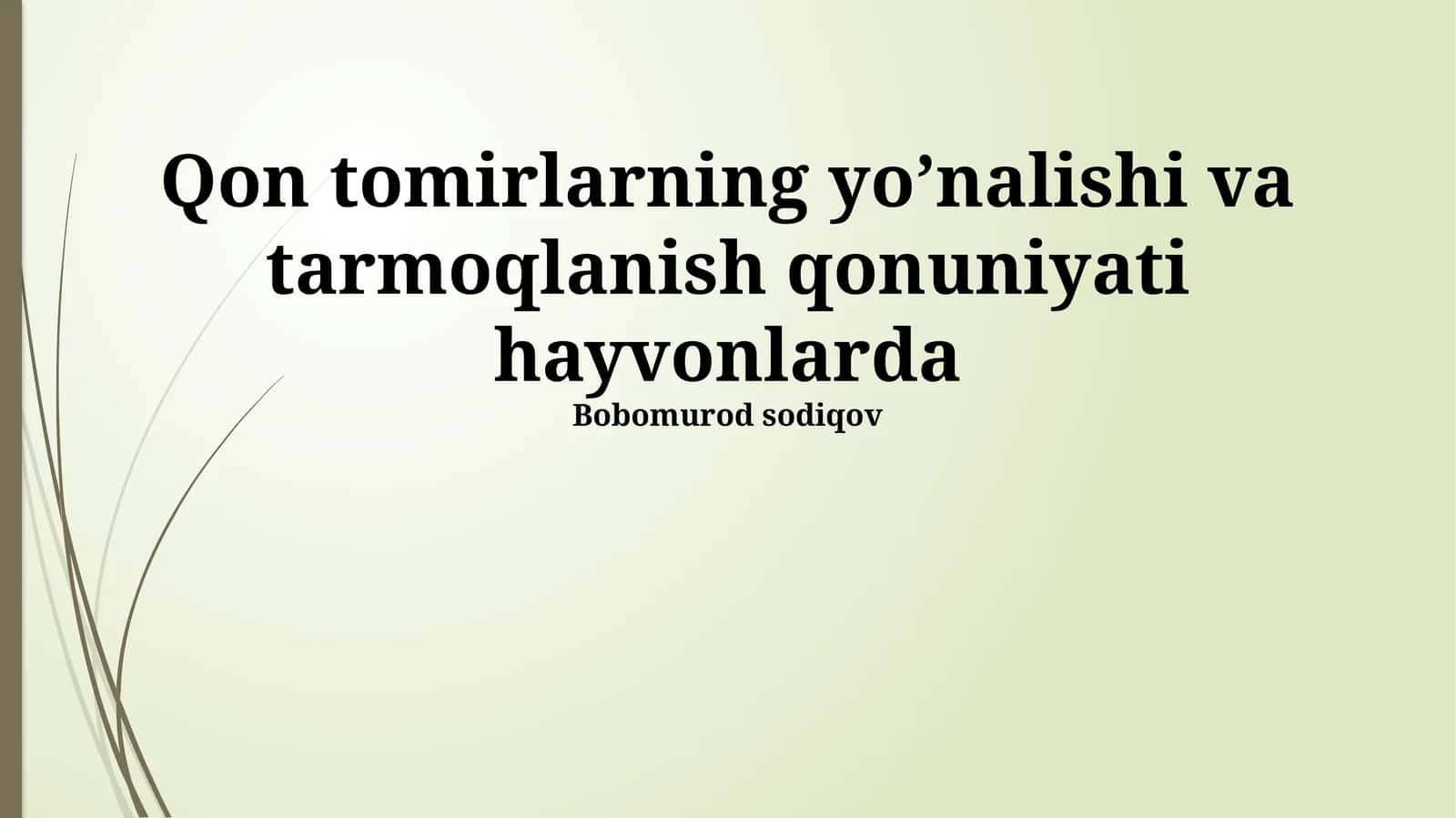 Qon tomirlarning yo’nalishi va tarmoqlanish qonuniyati hayvonlarda