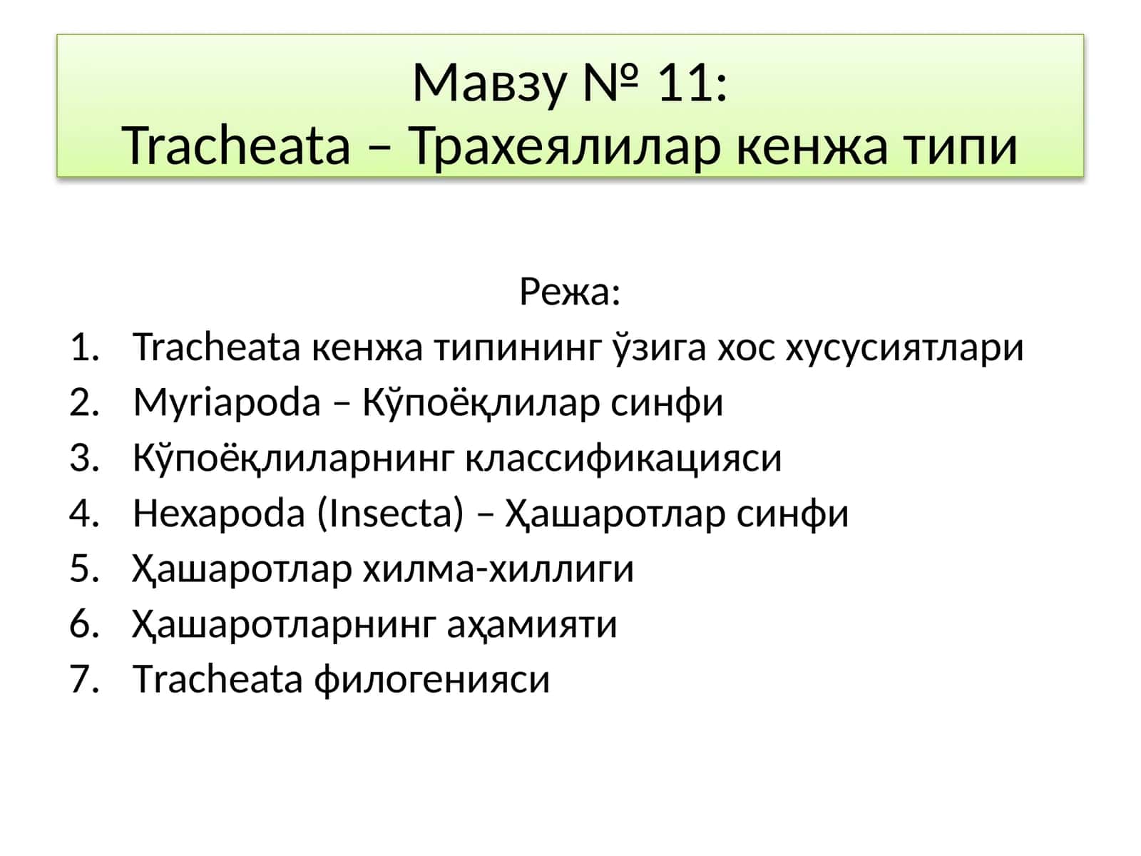Tracheata – Трахеялилар кенжа типи