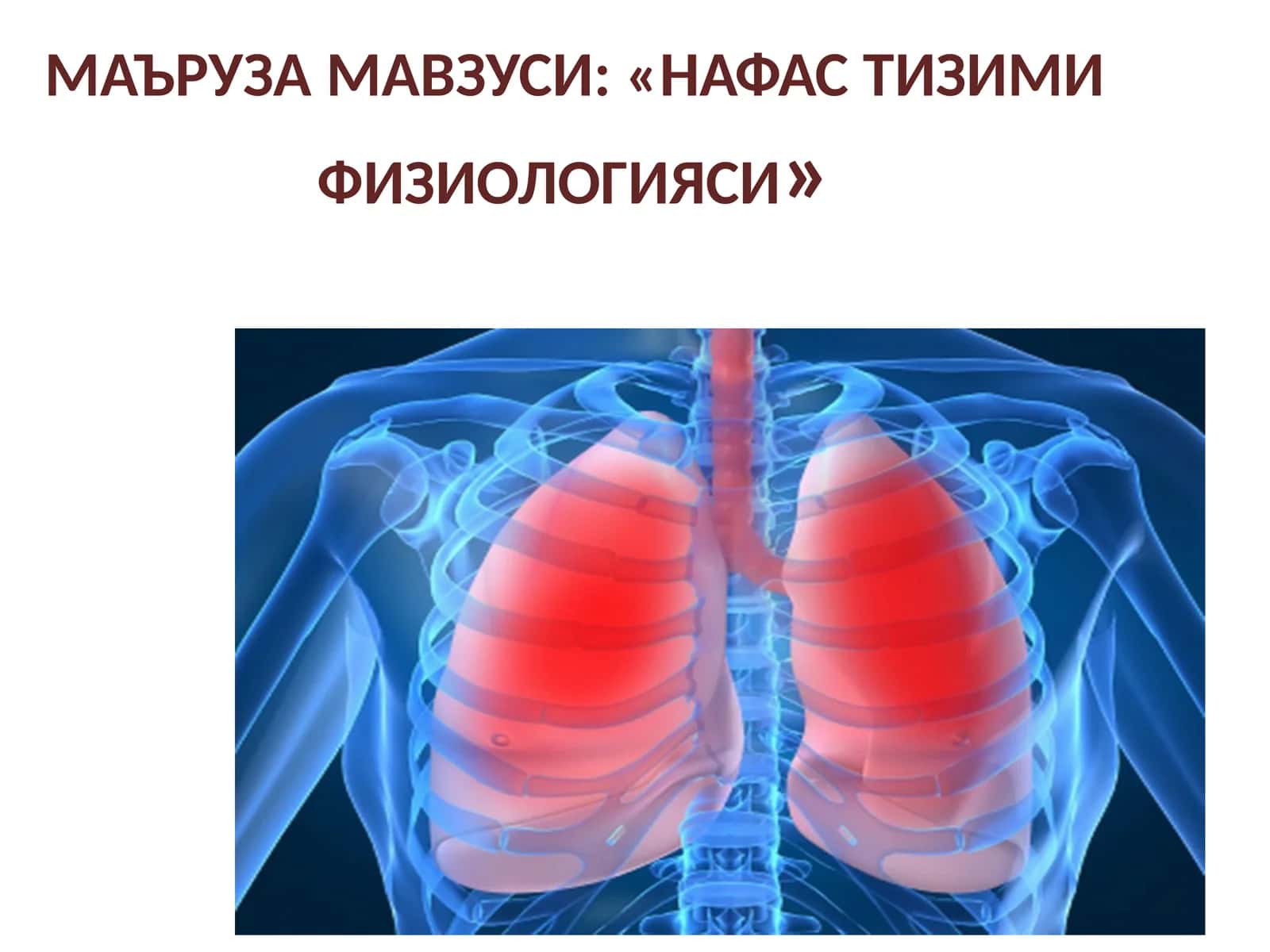Нафастизими физиологияси