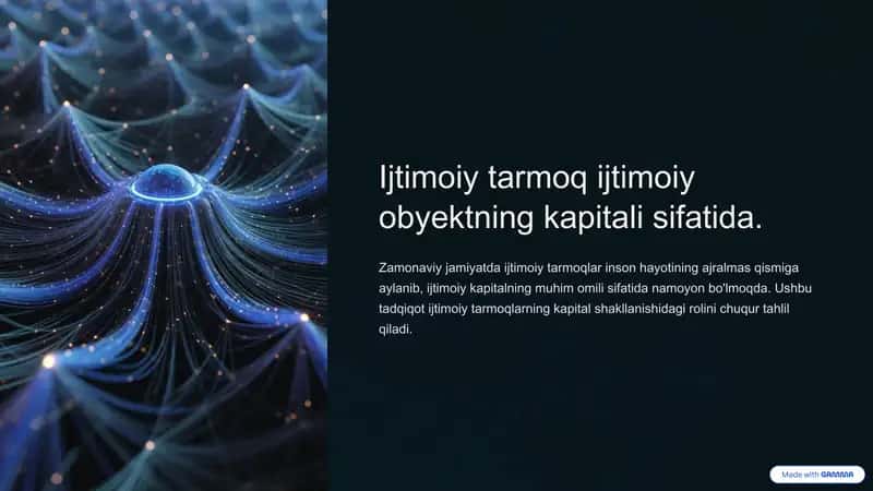 Ijtimoiy tarmoq ijtimoiy obyektning kapitali sifatida.