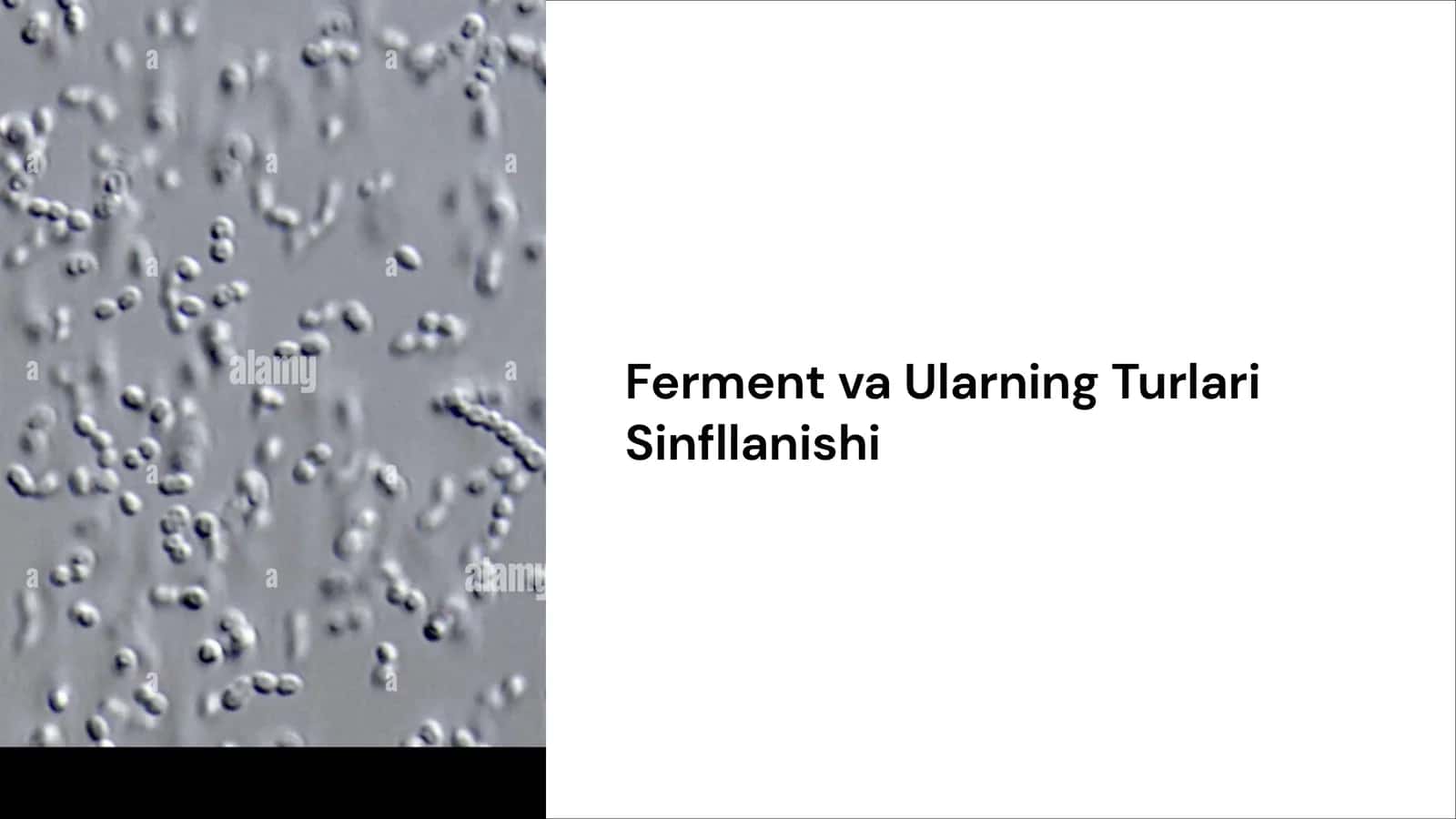 Ferment va Ularning Turlari Sinfllanishi