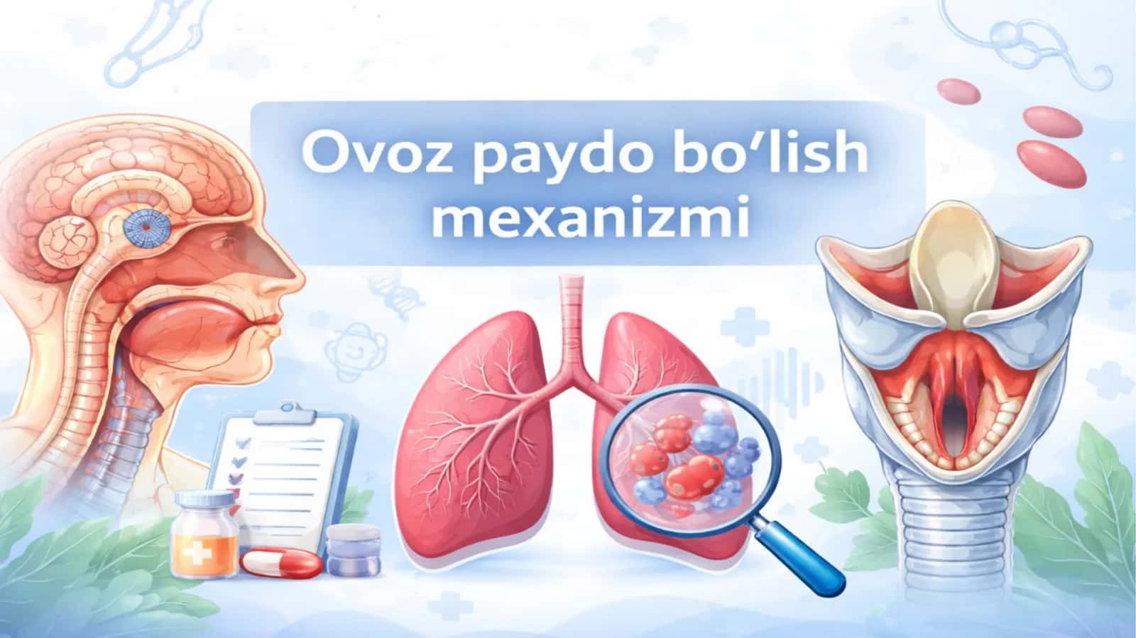 Ovoz paydo boʻlish mexanizmi