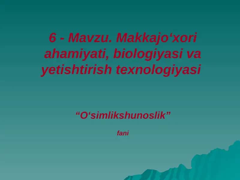 Makkajo‘xori ahamiyati, biologiyasi va yetishtirish texnologiyasi