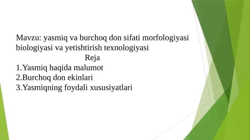 Yasmiq va burchoq don sifati morfologiyasi