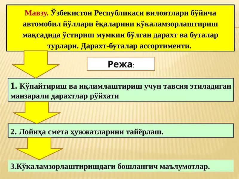Автомобил йўллари ёқалари кўкалам зорлаштириш