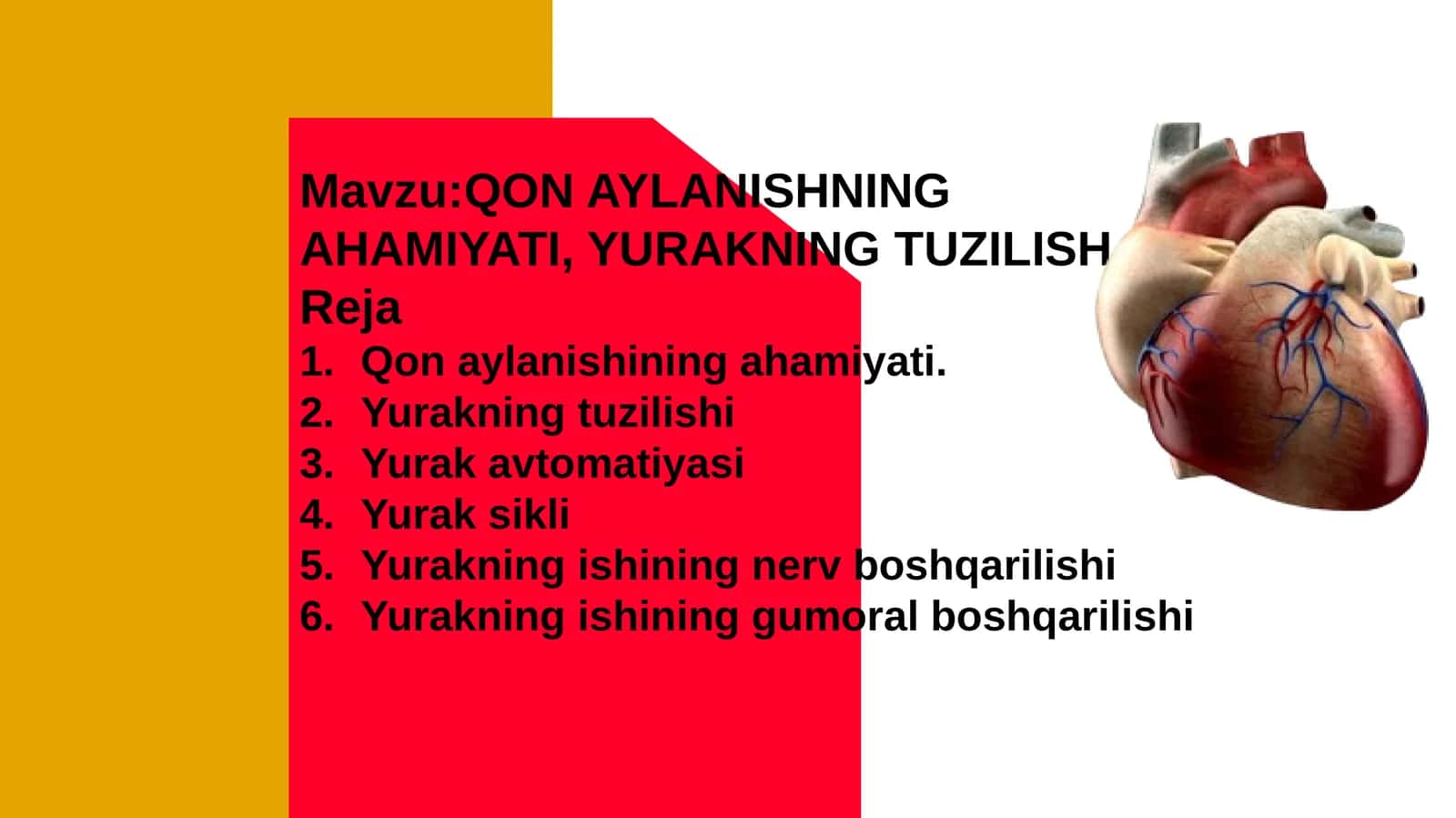 QONAYLANISHNING AHAMIYATI, YURAKNING TUZILISH