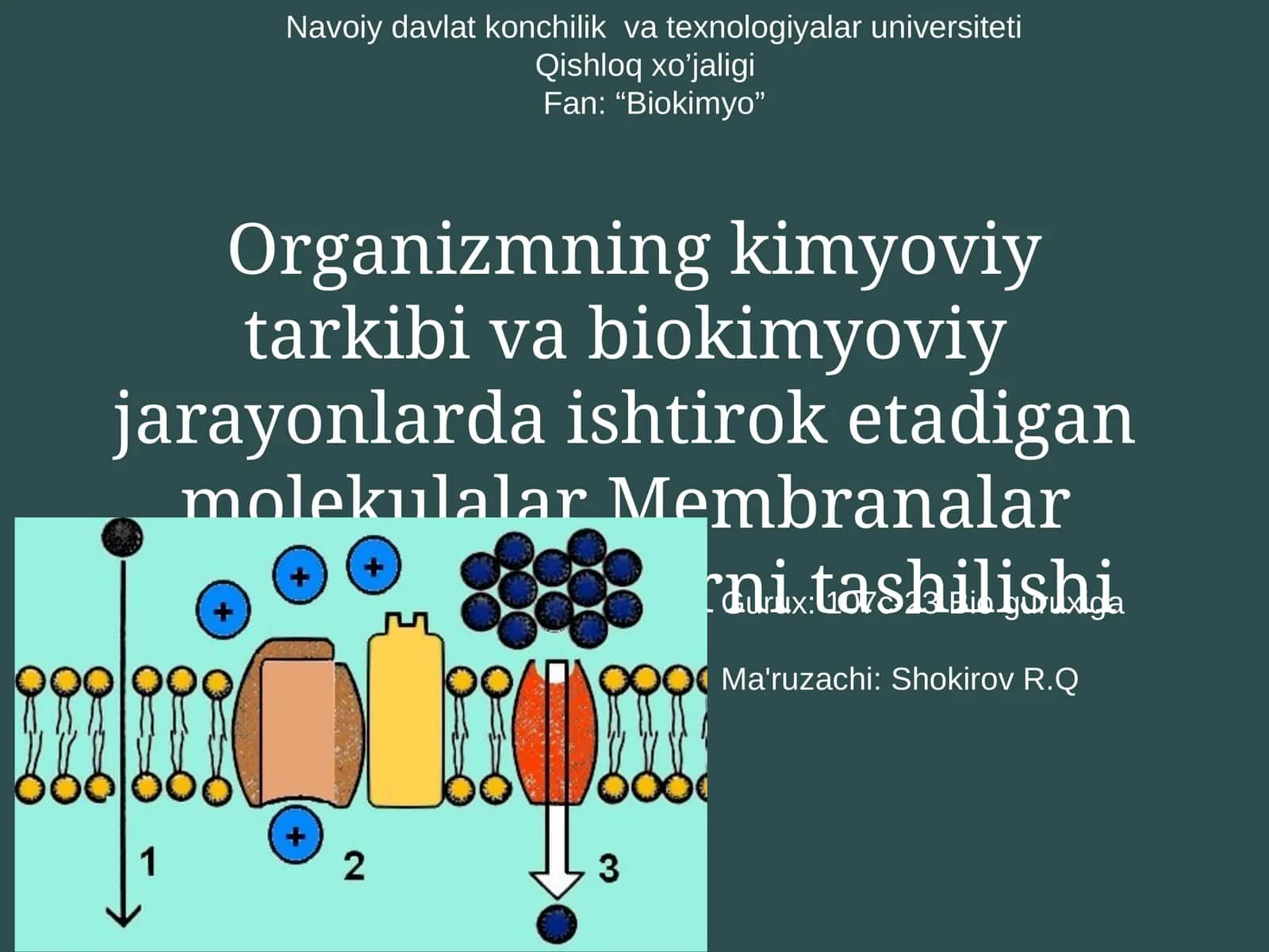Organizmning kimyoviy tarkibi va biokimyoviy jarayonlarda ishtirok etadigan molekulalar Membranalar bo'ylab moddalarni tashilishi