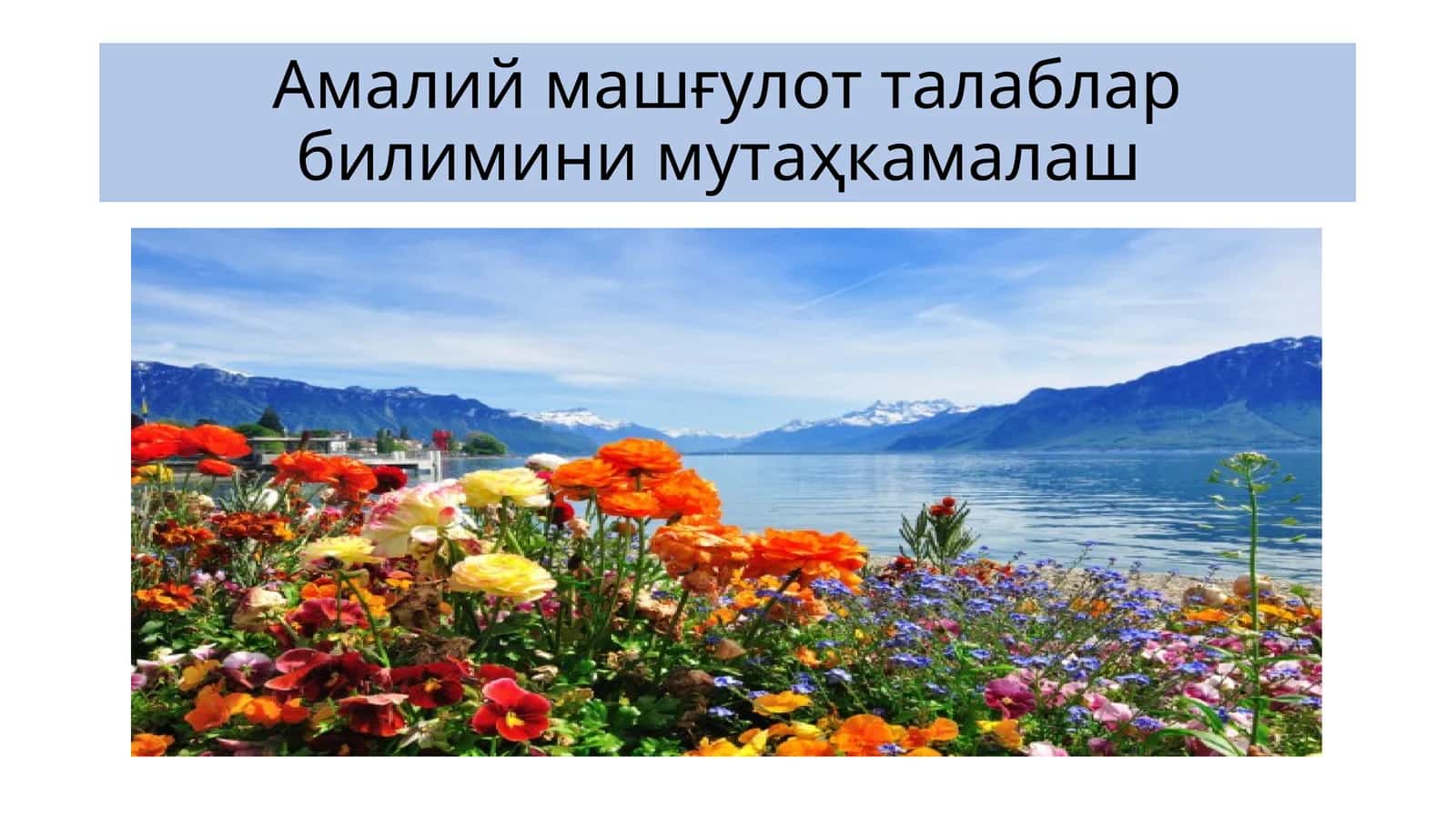 Амалий машғулот талаблар билимини мутаҳкамалаш