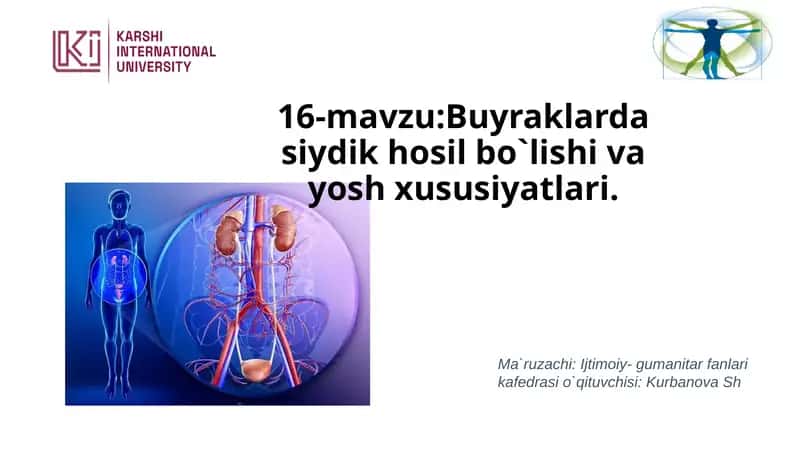 Buyraklarda siydik hosil bo`lishi va yosh xususiyatlari