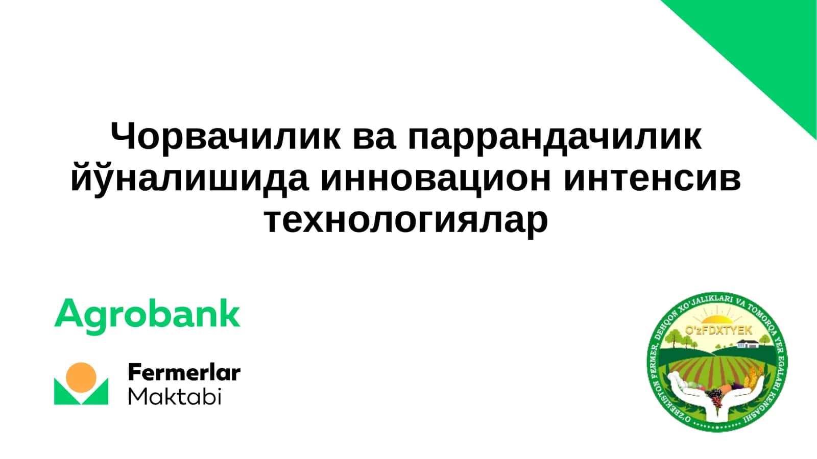 Чорвачиликда паррандачилик йўналишида инновацион интенсив технологиялар