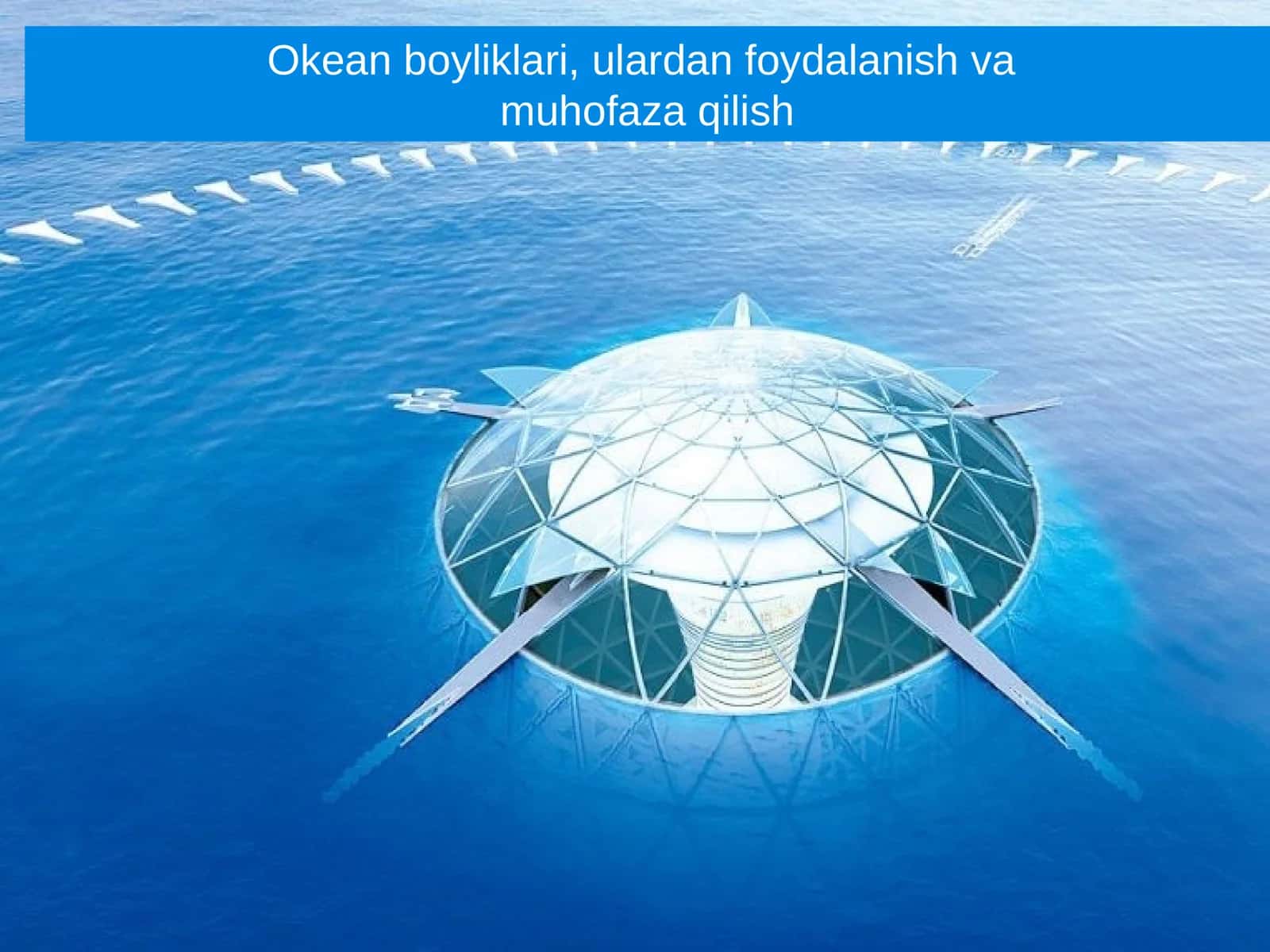Okean boyliklari, ulardan foydalanish va muhofaza qilish