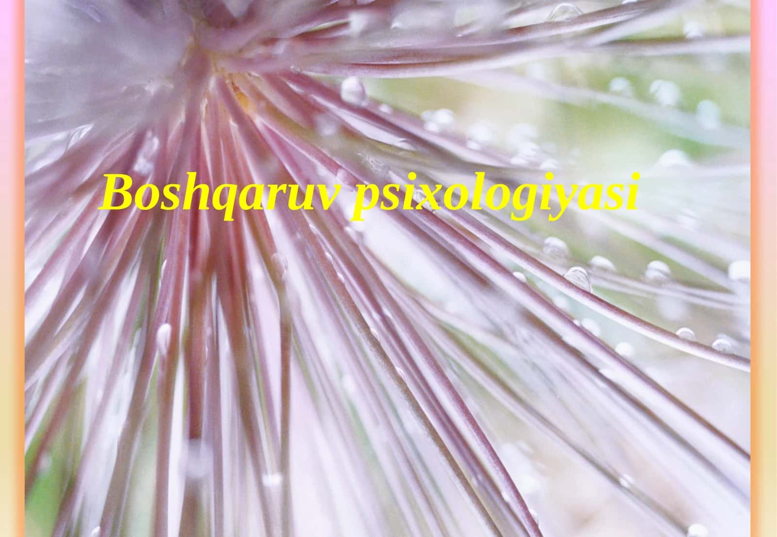 Boshqaruvpsixologiyasi