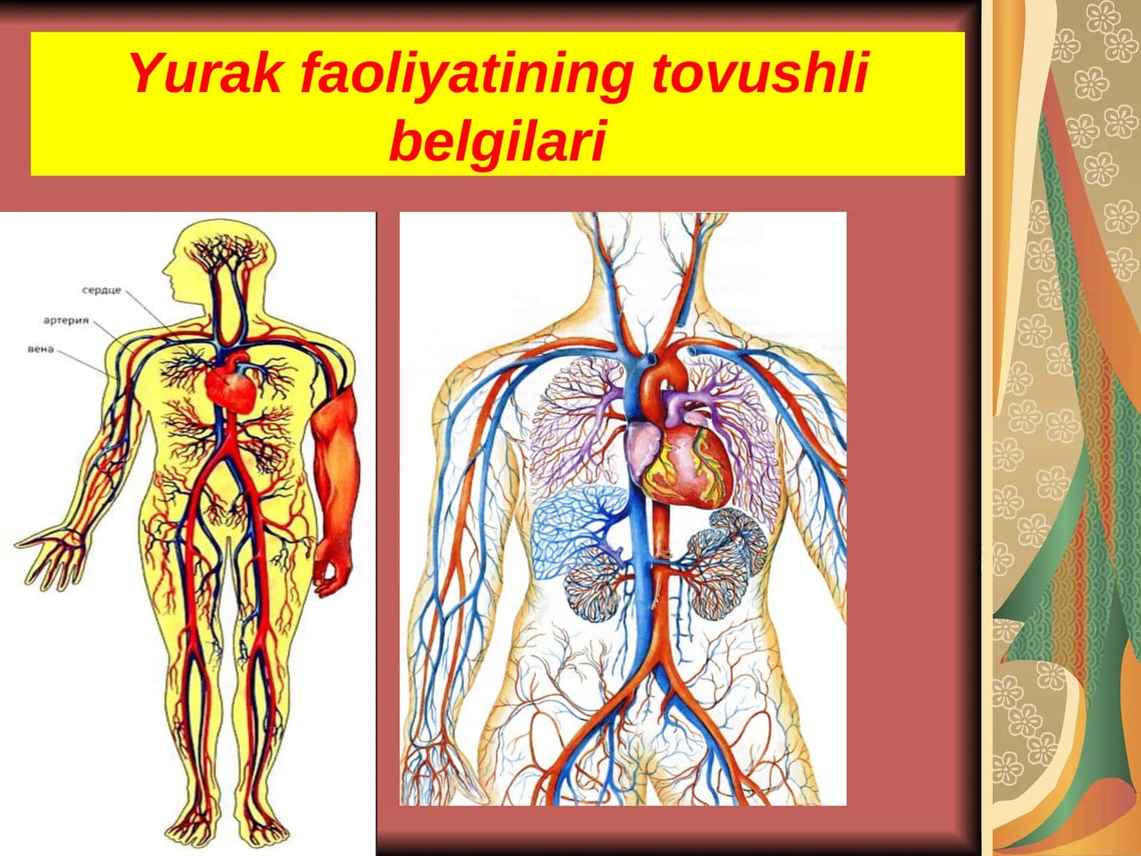 Yurak faoliyatining tovushli belgilari