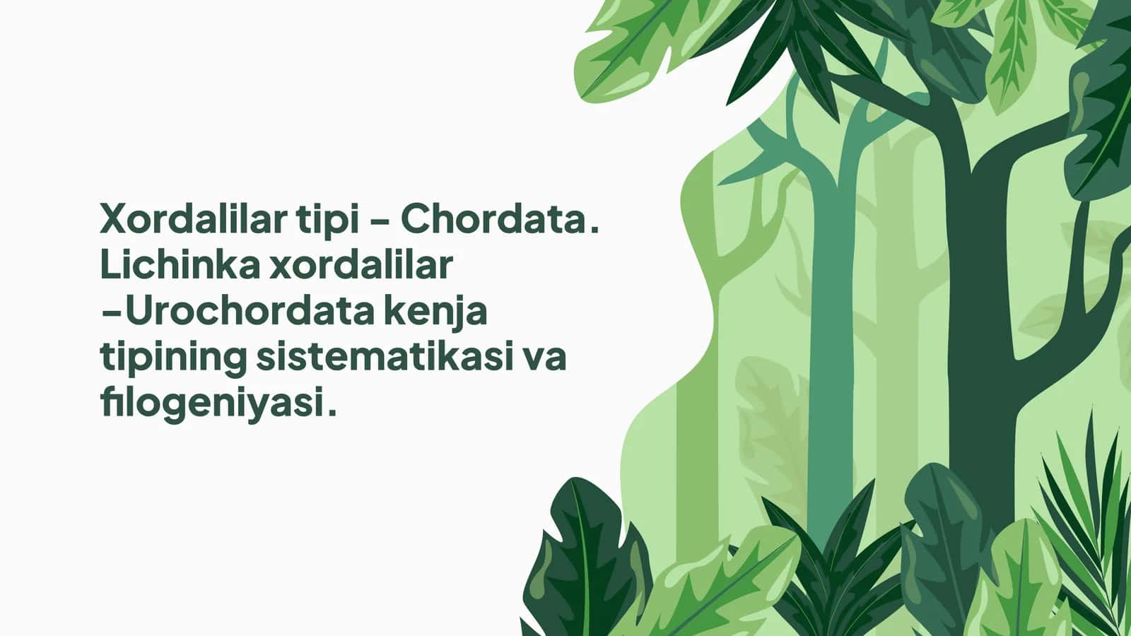 Xordalilar tipi - Chordata