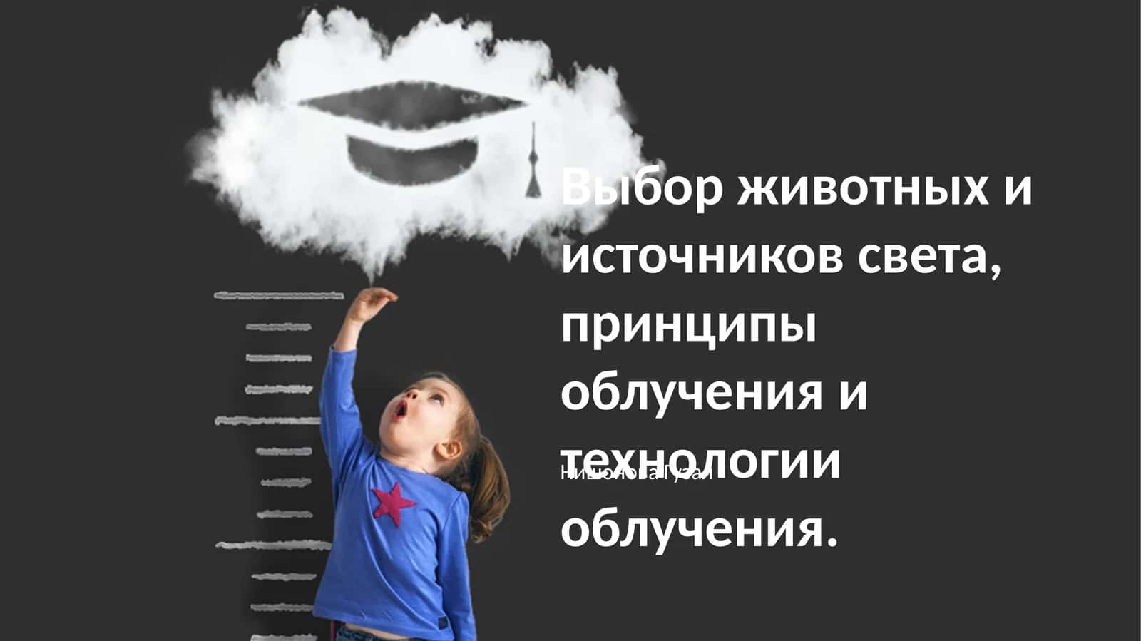 Выбор животных и источников света, принципы облучения и технологии облучения