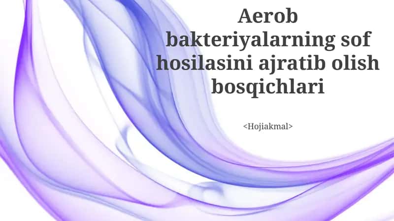 Aerob bakteriyalarning sof hosilasini ajratib olish bosqichlari