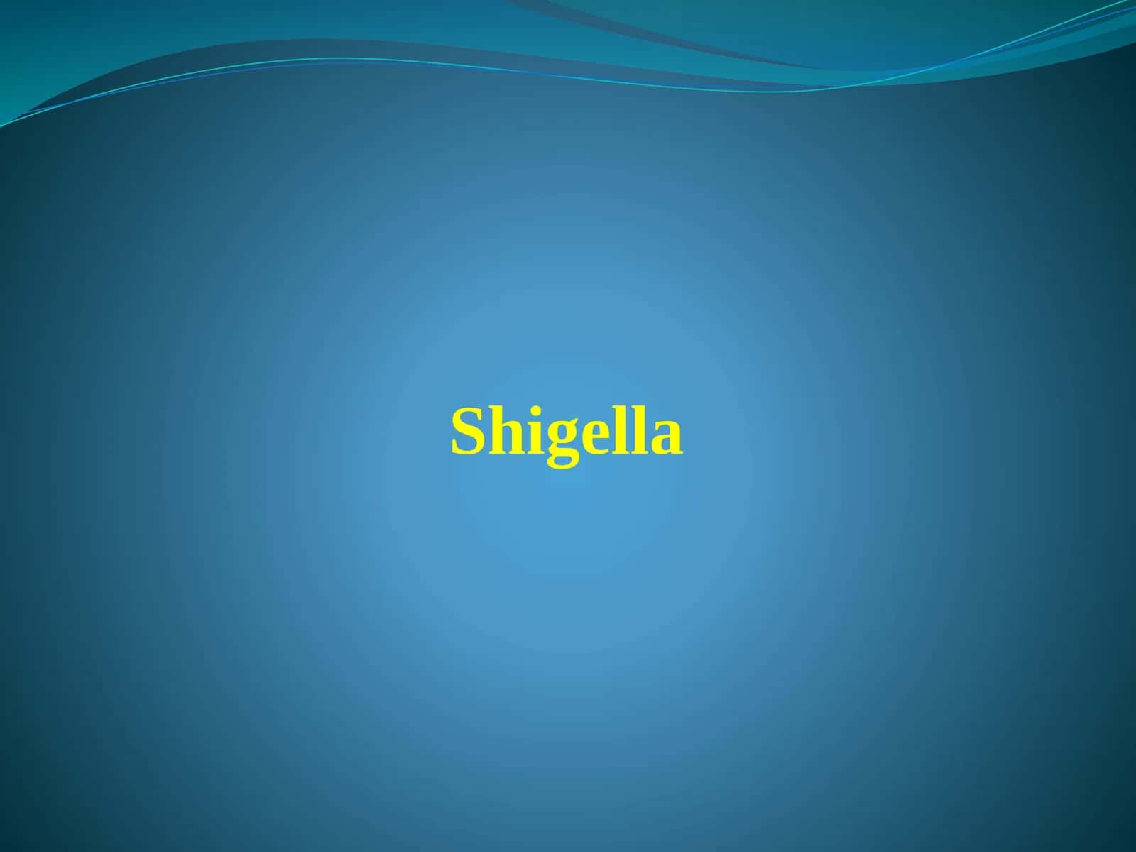 Shigella