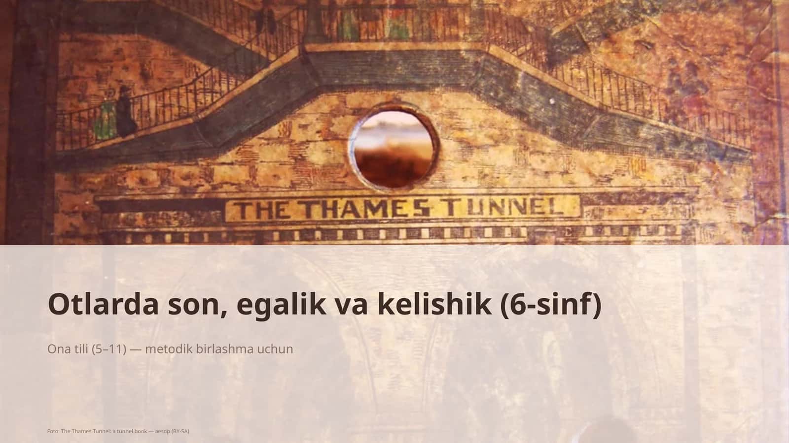 Otlarda son, egalik va kelishik (6-sinf)