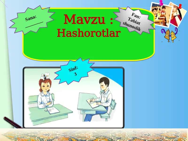 Hashorotlar