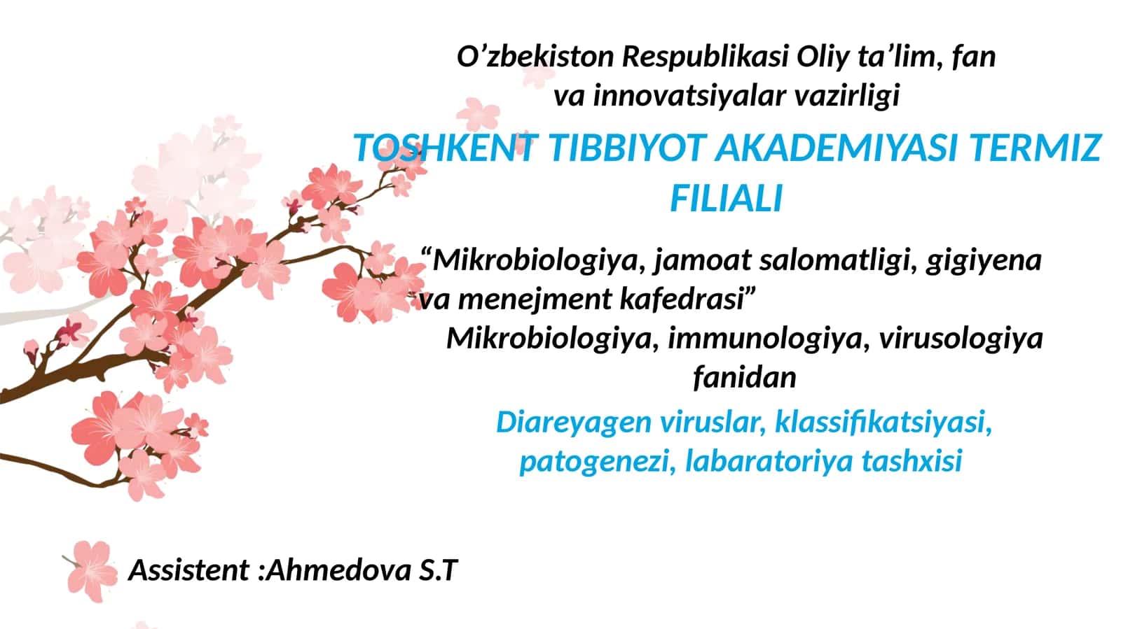 Diareyagen viruslar