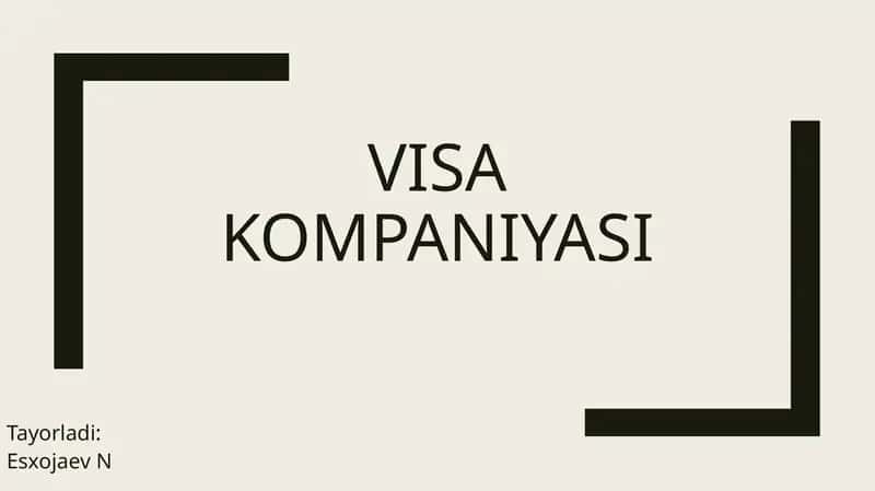 Visa kompaniyasi