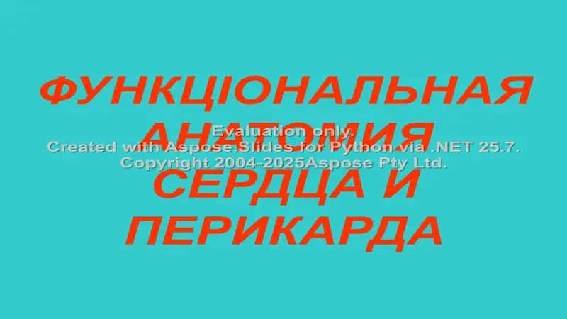 ФУНКЦІОНАЛЬНАЯ АНАТОМИЯ СЕРДЦА И ПЕРИКАРДА