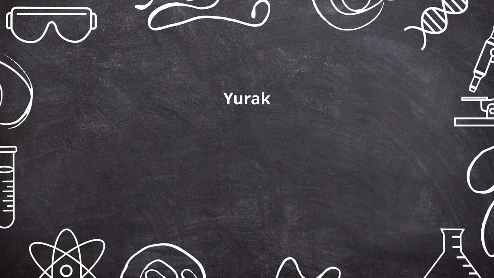Yurak anatomiyasi