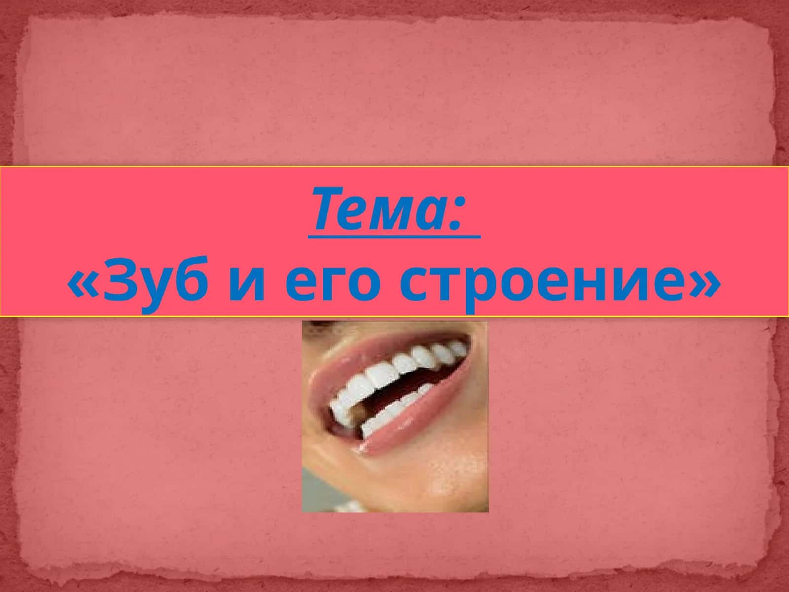 Зуб и его строение