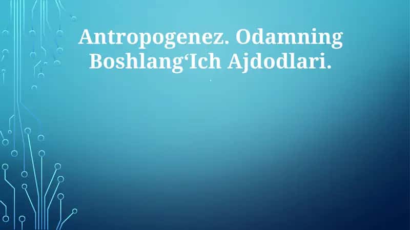 Odamlarning Boshlang'ich Ajdodlari