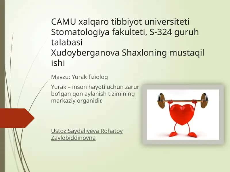 Yurak fiziologiyasi