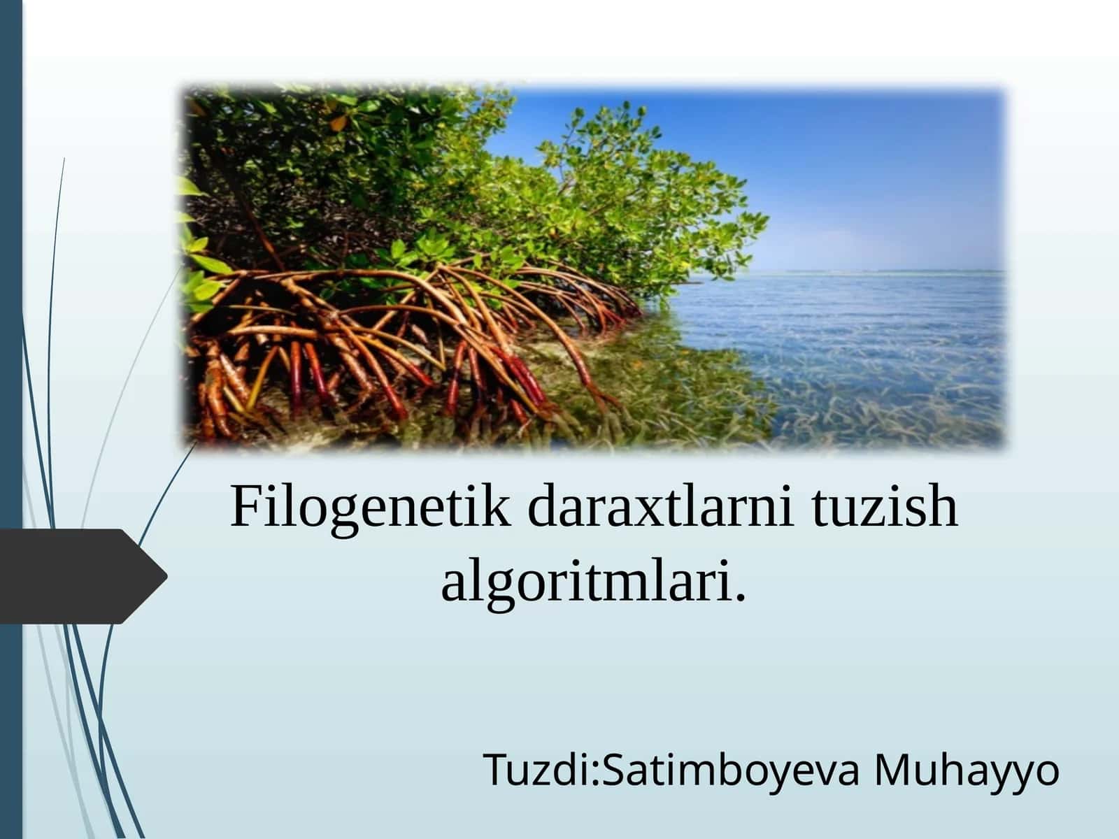 Filogenetik daraxtlarni tuzish algoritmlari