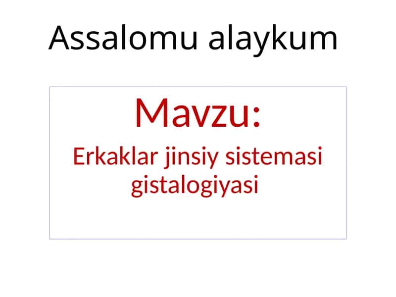 Erkaklar jinsiys sistema g'istalogiyasi