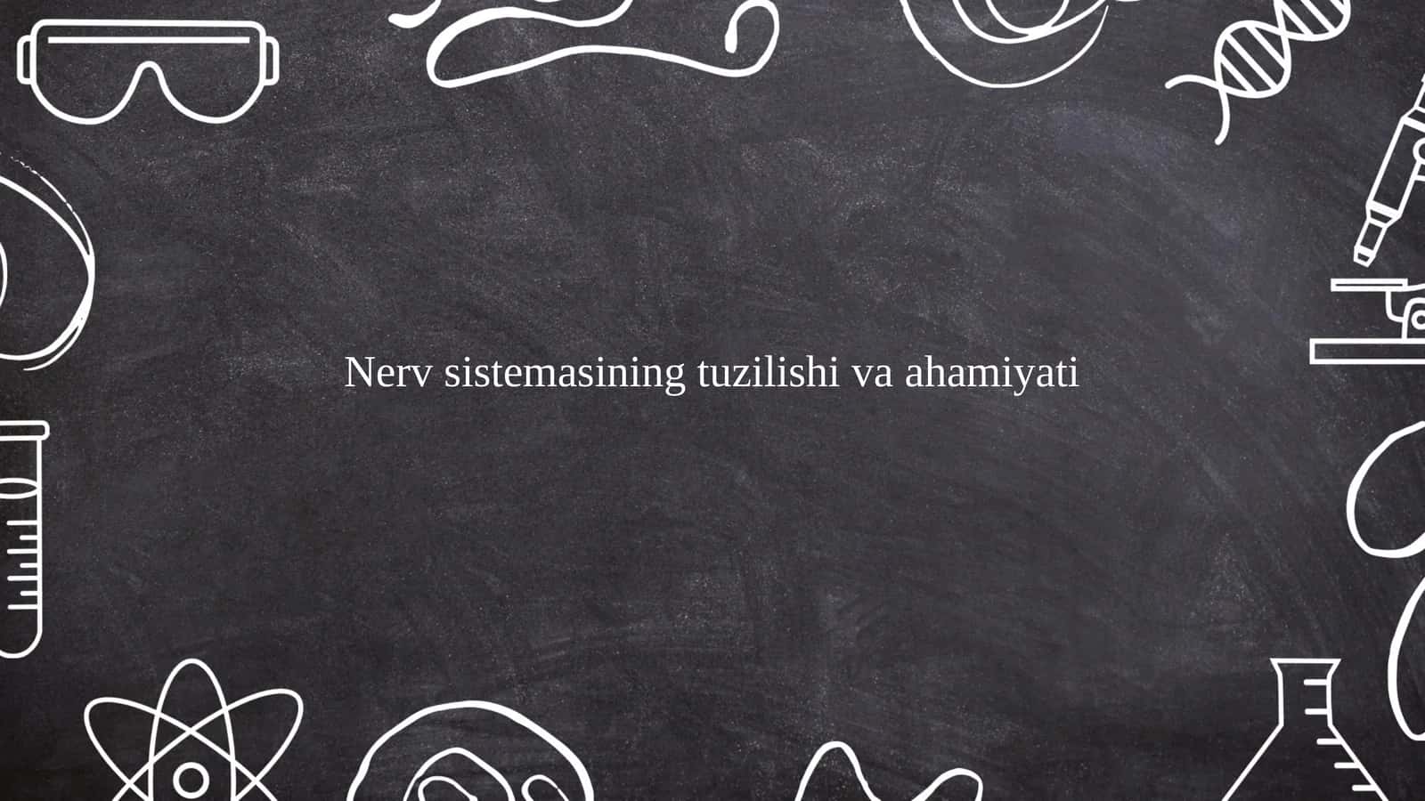 Nerv sistemasining tuzilishi markaziy nerv sestemasi