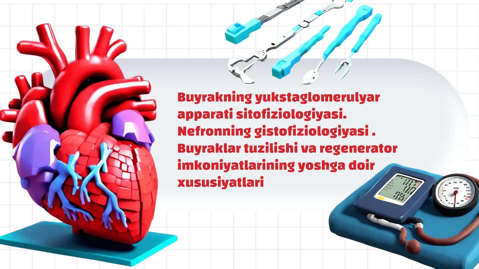 Buyrakning yukstaglomerulyar apparati sitofiziologiyasi. Nefronning gistofiziologiyasi . Buyraklar tuzilishi va regenerator imkoniyatlarining yoshga doir xususiyatlari