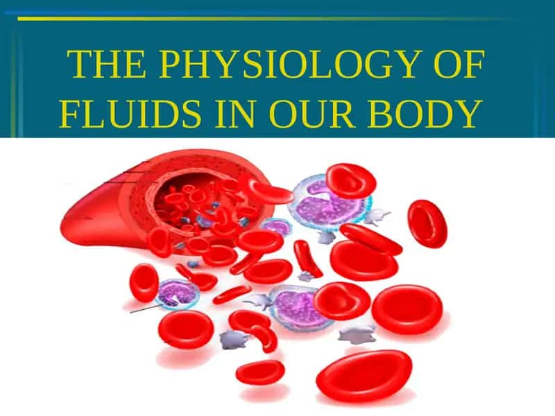 THE PHYSIOLOGY OF FLUIDS IN OUR BODY