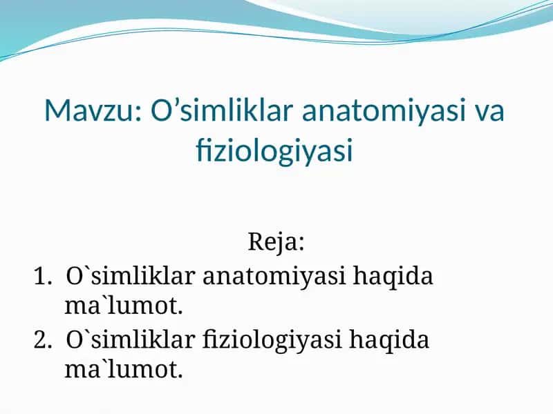 O’simliklar anatomiyasi va fiziologiyasi