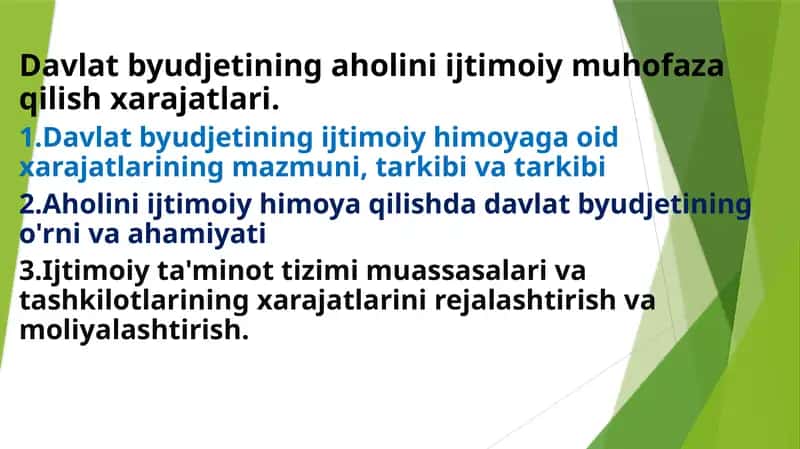 Davlat byudjetining ijtimoiy muhofaza qilish xarajatlari