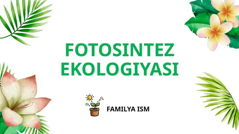 FOTOSINTEZ EKOLOGIYASI